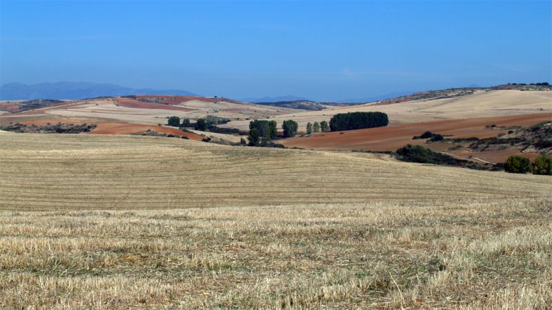 files/galerias/Varios/Agricultura001.jpg